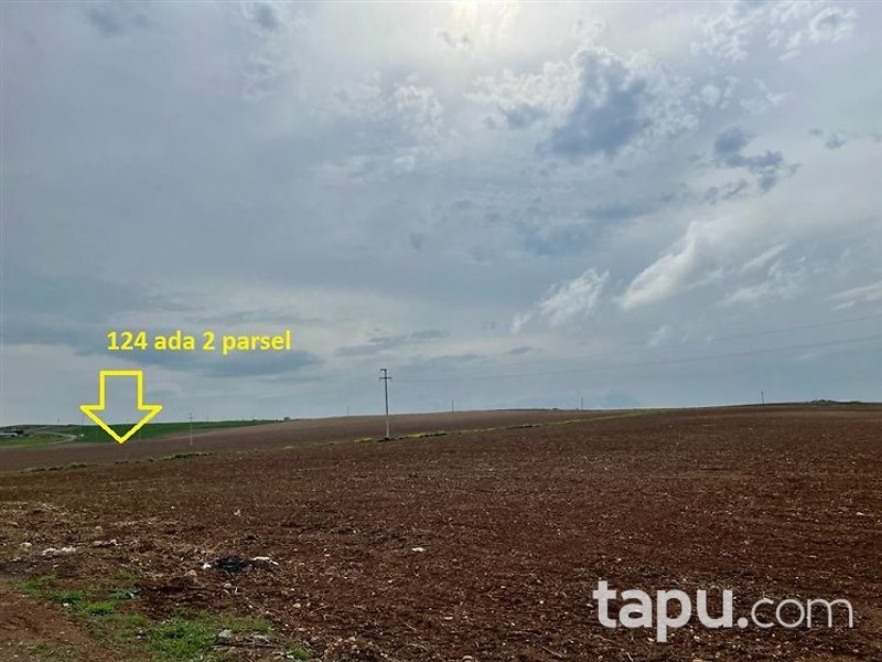 Diyarbakır Bismil Şahintepe Mahallesi'nde 11 Dönüm Tarla