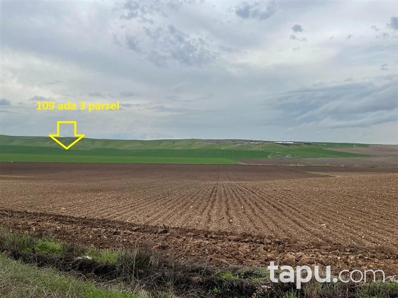 Diyarbakır Bismil Şahintepe Mahallesi'nde 17 Dönüm Tarla