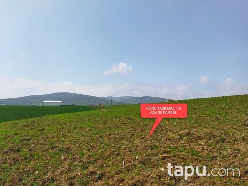 Yenişehir Fethiye Mahallesi'nde Yola Cepheli Hisseli Tarla