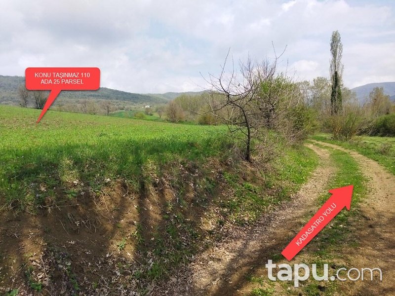Yenişehir Fethiye Mahallesi'nde Yola Cepheli Hisseli Tarla