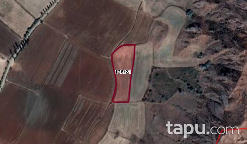 Çorum Sungurlu Güloluk Alkaya Mevkiinde 4.746 m2 Tarla