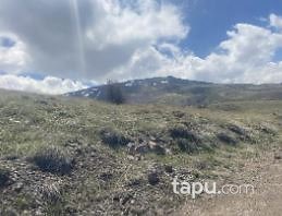 Malatya Kale Kozluk'ta 67 Dönüm Tarla