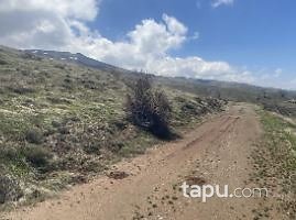 Malatya Kale Kozluk'ta 67 Dönüm Tarla