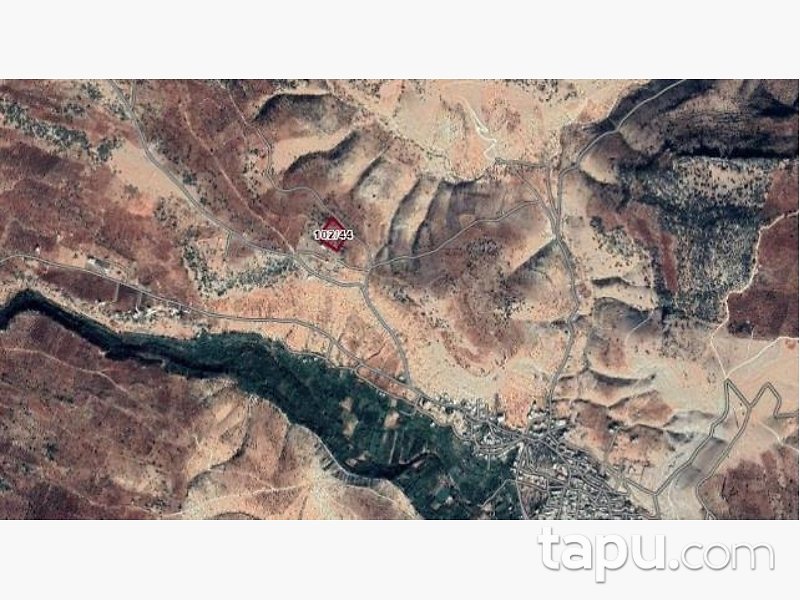 Gaziantep Nizip Tatlıcak Mahallesi'nde Hisseli 14 Dönüm Fıstıklık