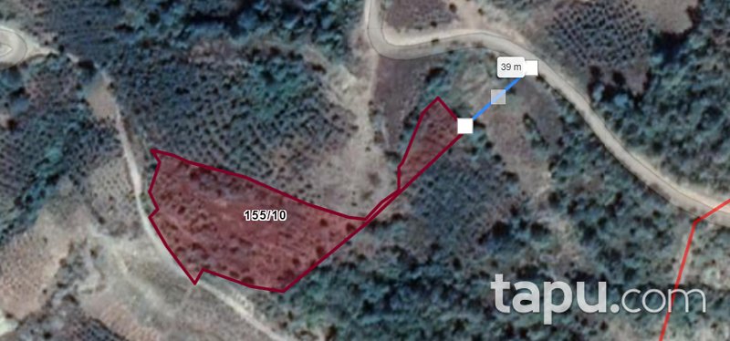Samsun Ayvacık Yeniköy Mahallesi'nde 4.025 m2 Fındık Bahçesi