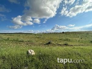 Malatya Hekimhan Güzelyayla Mahallesi'nde 13 Dönüm Tarla