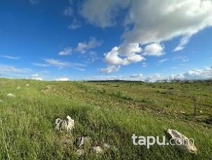 Malatya Hekimhan Güzelyayla Mahallesi'nde 13 Dönüm Tarla