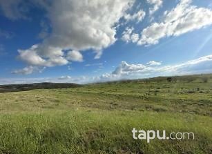 Malatya Hekimhan Güzelyayla Mahallesi'nde 13 Dönüm Tarla
