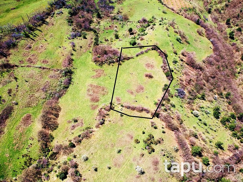 Çanakkale Bayramiç Dağoba Mevkiinde 4 Dönüm Tarla