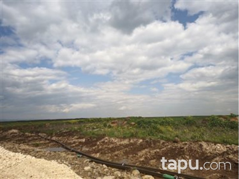 Diyarbakır Ergani Doğanköy Mahallesi'nde 130 DönümTarla
