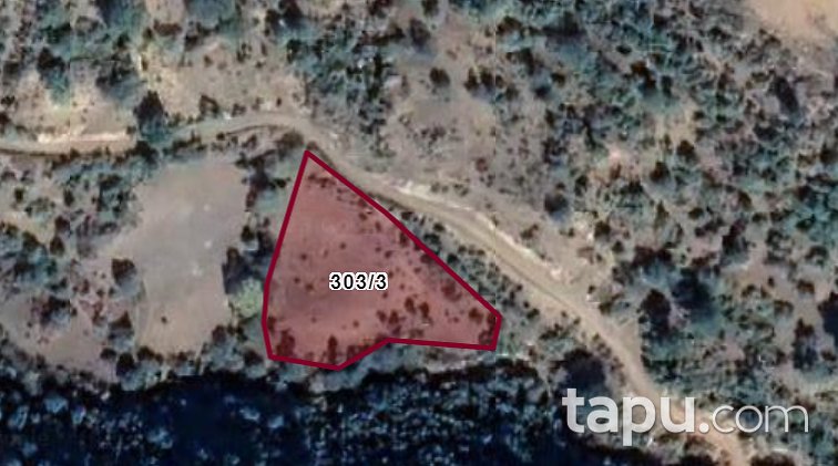 İzmir Bergama Durmuşlar Mahallesi'nde Tarla
