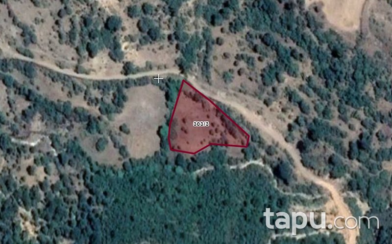 İzmir Bergama Durmuşlar Mahallesi'nde Tarla