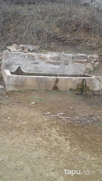 İzmir Bergama Durmuşlar Mahallesi'nde Tarla