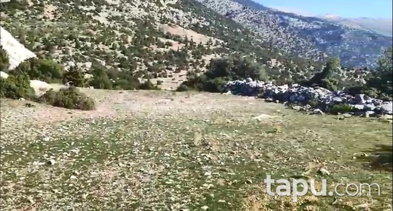 Antalya Akseki Çimi'de 16.563 m2 Tarla