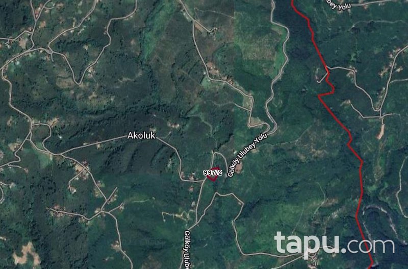 Ordu Ulubey Akoluk'ta Hisseli 1.819 m2 Fındık Bahçesi