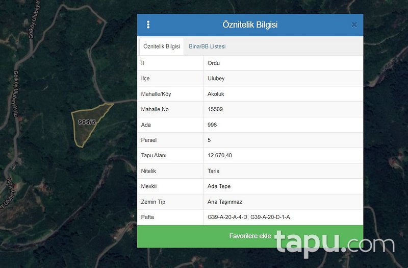 Ordu Ulubey Akoluk'ta Hisseli 4.223 m2 Tarla