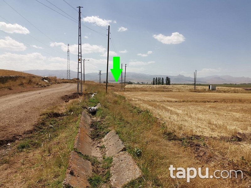 Erzurum Tepecik Mahallesi'nde Yola Cepheli 17 Dönüm Tarla