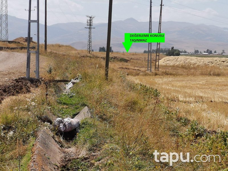 Erzurum Tepecik Mahallesi'nde Yola Cepheli 17 Dönüm Tarla