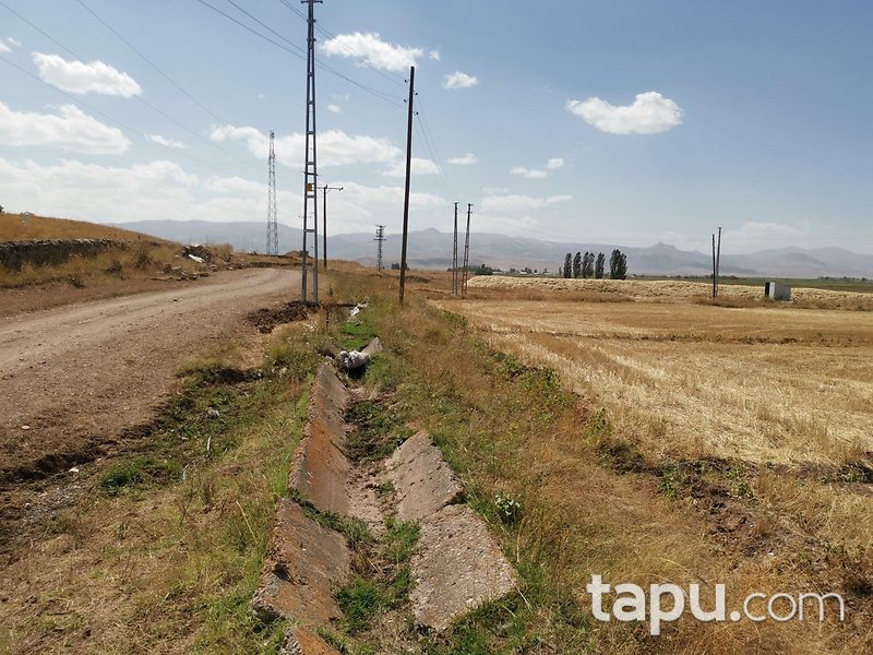 Erzurum Tepecik Mahallesi'nde Yola Cepheli 17 Dönüm Tarla