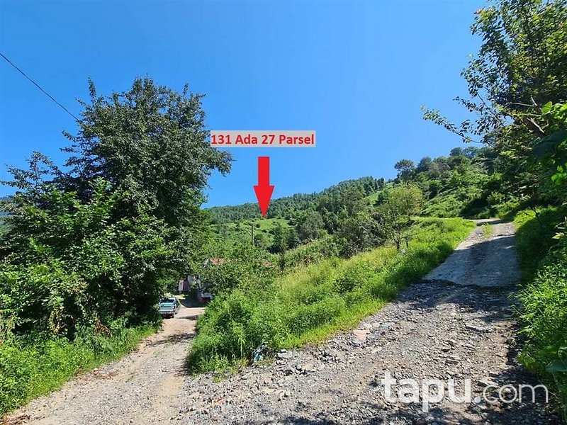 Artvin Hopa Başoba Köyü'nde 5.691 m2 Çay Bahçesi
