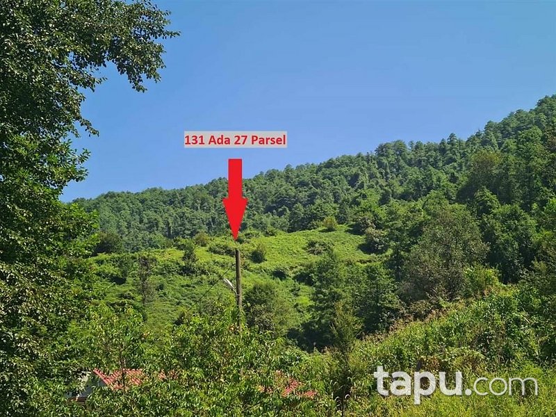 Artvin Hopa Başoba Köyü'nde 5.691 m2 Çay Bahçesi