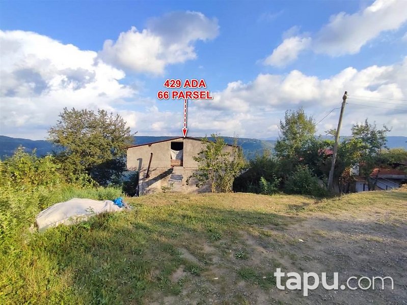 Ordu Ünye'de Kargir Ev Ve Fındık Bahçesi