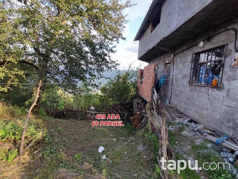 Ordu Ünye'de Kargir Ev Ve Fındık Bahçesi