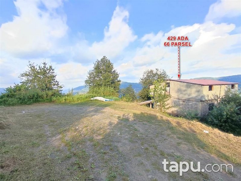 Ordu Ünye'de Kargir Ev Ve Fındık Bahçesi
