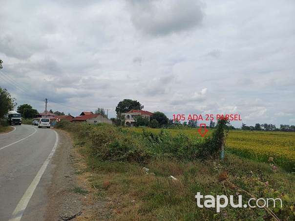 Samsun Bafra Şeyhören Mahallesi'nde Hisseli 14 Dönüm Tarla
