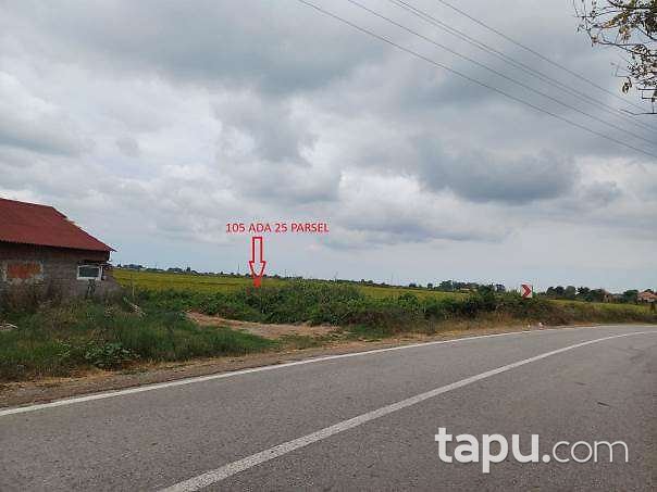 Samsun Bafra Şeyhören Mahallesi'nde Hisseli 14 Dönüm Tarla