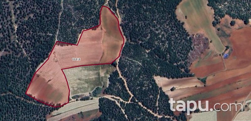Denizli Kale Demirciler Mevkiinde 39 Dönüm Tarla