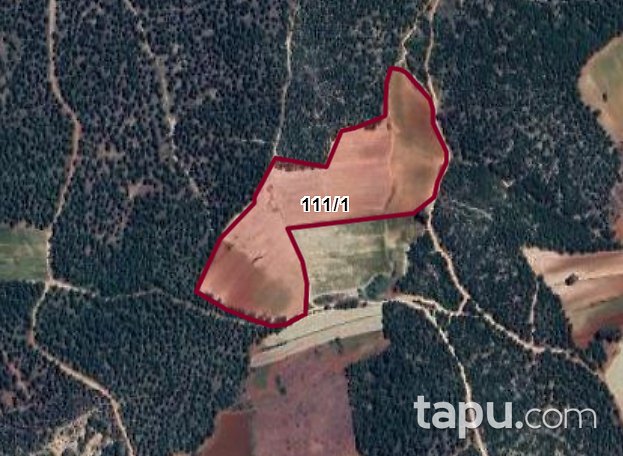 Denizli Kale Demirciler Mevkiinde 39 Dönüm Tarla