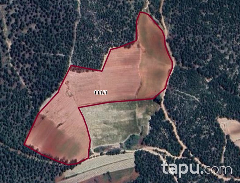 Denizli Kale Demirciler Mevkiinde 39 Dönüm Tarla