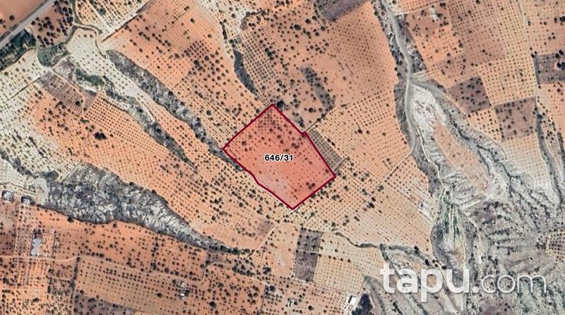 Gaziantep Oğuzeli Subaşı Mahallesi'nde Hisseli 4.515 m2 Bağ 