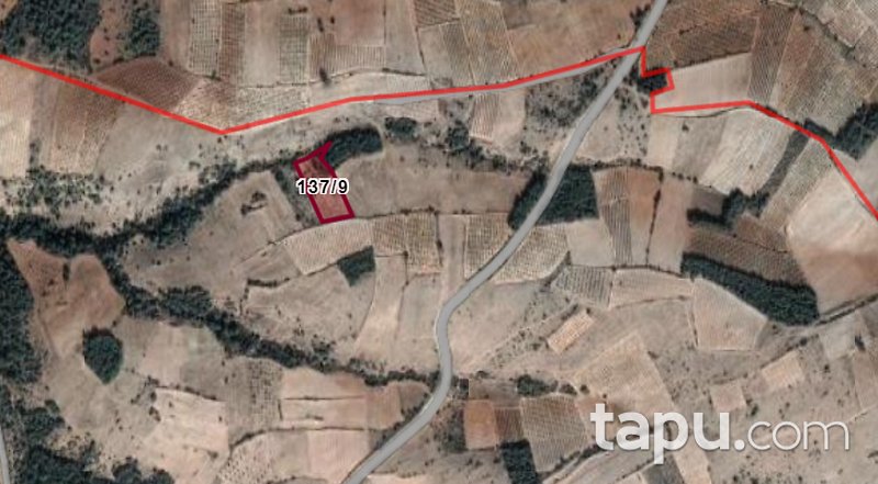 Denizli Çal Sazak Mahallesinde 3.176 m2 Tarla