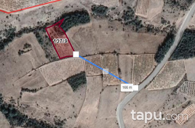 Denizli Çal Sazak Mahallesinde 3.176 m2 Tarla