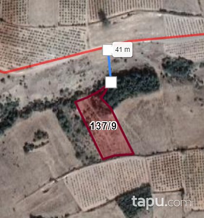 Denizli Çal Sazak Mahallesinde 3.176 m2 Tarla