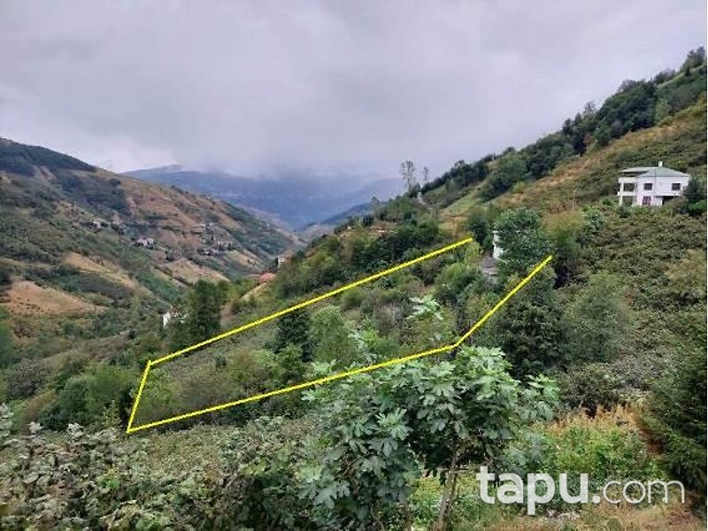 Trabzon Akçaabat Gümüşlü Mahallesi'nde Tarla Ve Kargir Ev Ve Samanlık