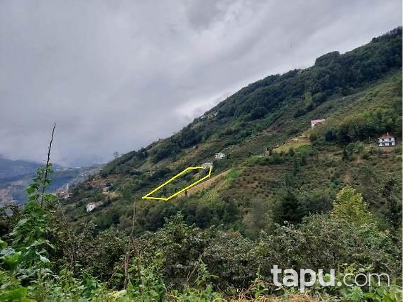 Trabzon Akçaabat Gümüşlü Mahallesi'nde Tarla Ve Kargir Ev Ve Samanlık