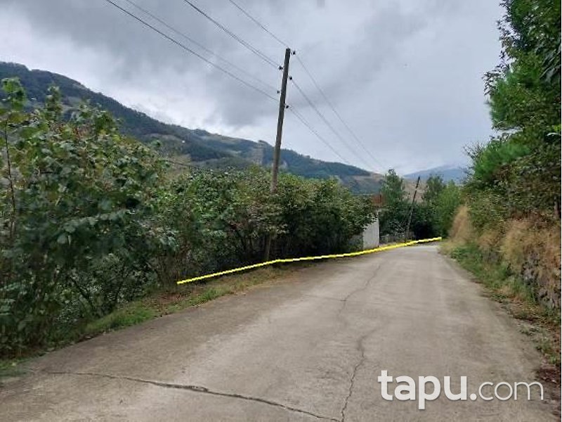 Trabzon Akçaabat Gümüşlü Mahallesi'nde Tarla Ve Kargir Ev Ve Samanlık