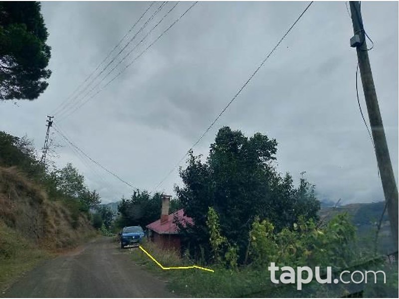 Trabzon Akçaabat Sertkaya Mahallesi'nde Bir Katlı Kargir Ev Dam Ve Tarla