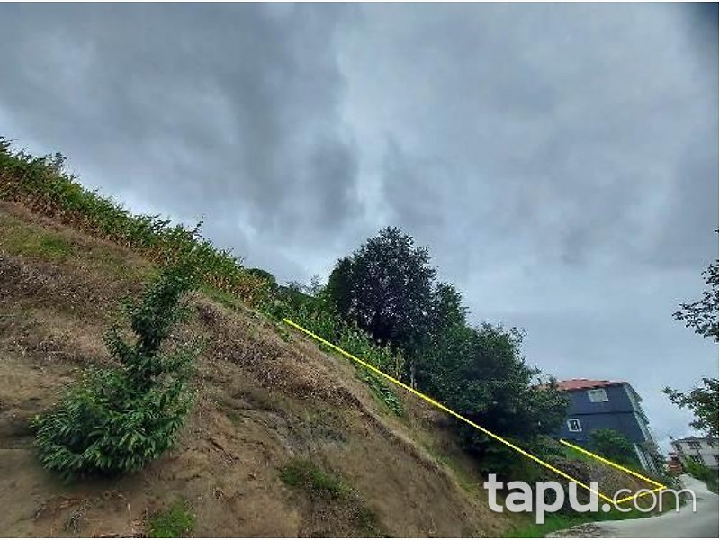 Trabzon Akçaabat Sertkaya Mahallesi'nde Bir Katlı Kargir Ev Dam Ve Tarla
