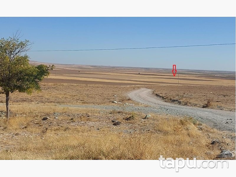 Konya Altınekin Akçaşar Mahallesi'nde 38 Dönüm Tarla