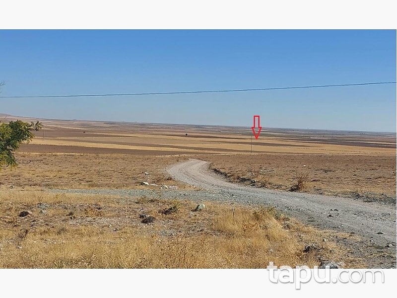 Konya Altınekin Akçaşar Mahallesi'nde 38 Dönüm Tarla