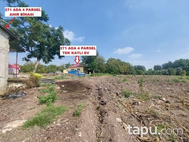 Osmaniye Sumbas Araplı Mahallesi'nde Hisseli Tarla