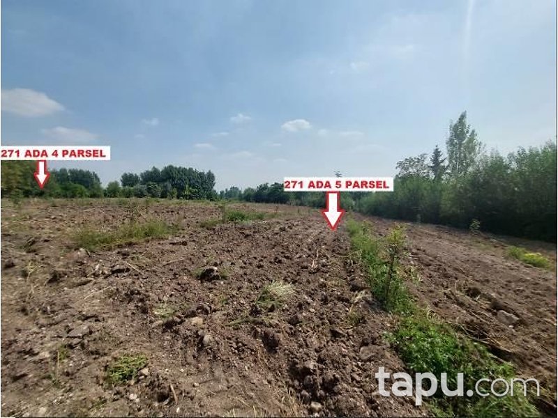 Osmaniye Sumbas Araplı Mahallesi'nde Hisseli Tarla