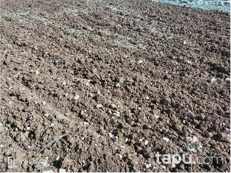 Mersin Silifke'de 3.655 m2 Yatırımlık Tarla