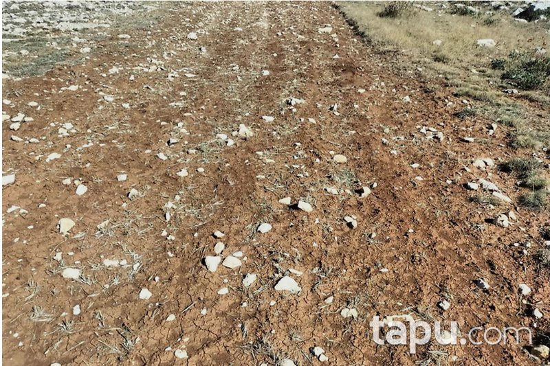 Mersin Silifke'de 3.655 m2 Yatırımlık Tarla