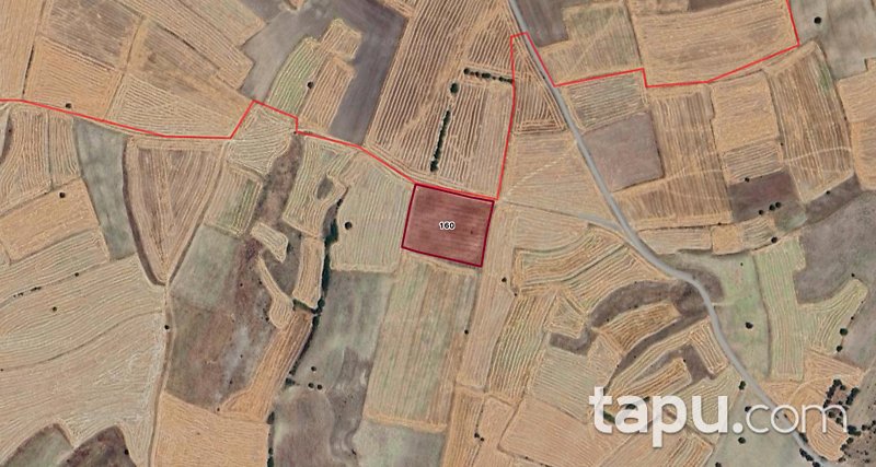 Afyonkarahisar Kızılören Türkbelkavak Mahallesi'nde 9.150 m2 Tarla