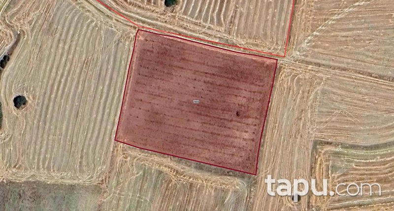 Afyonkarahisar Kızılören Türkbelkavak Mahallesi'nde 9.150 m2 Tarla